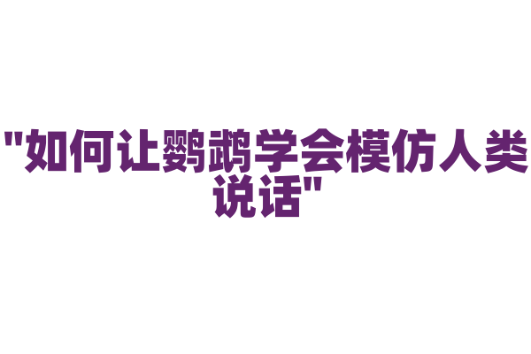 "如何让鹦鹉学会模仿人类说话"